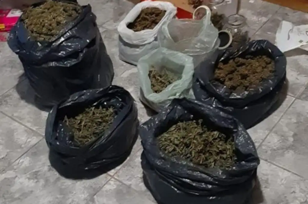Santo Tomé: allanan una vivienda y secuestran marihuana