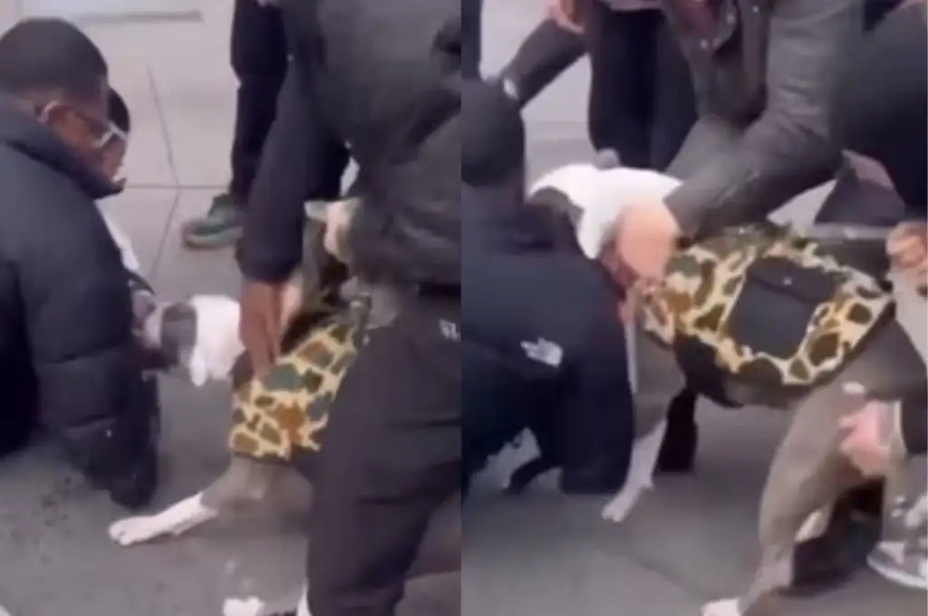 Brutal ataque