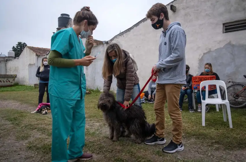El quirófano móvil para animales se muda a Gloria de La Peregrina