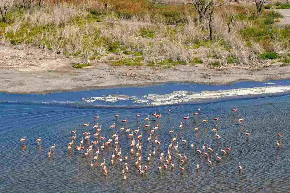 Parque Nacional Ansenuza