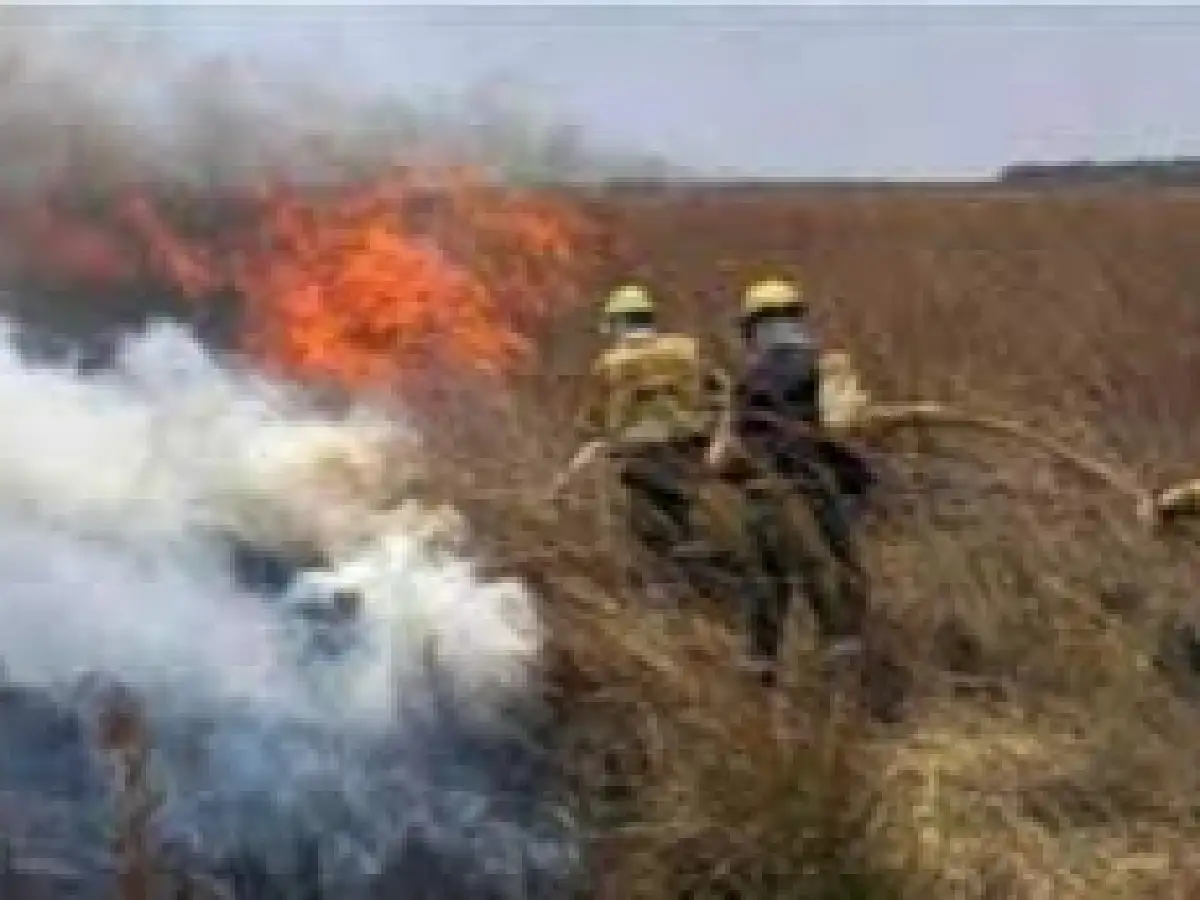Preocupación en Corrientes por los numerosos incendios: se registraron 82 en la última semana