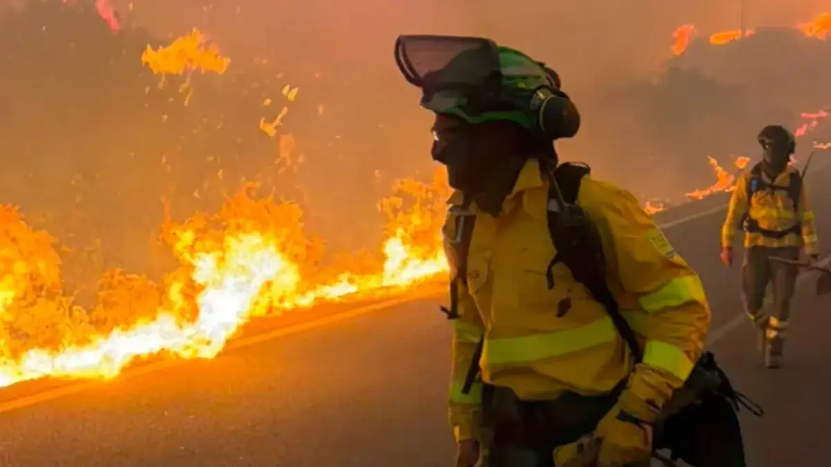 España: al menos 12 muertos y cientos de evacuados por un incendio forestal
