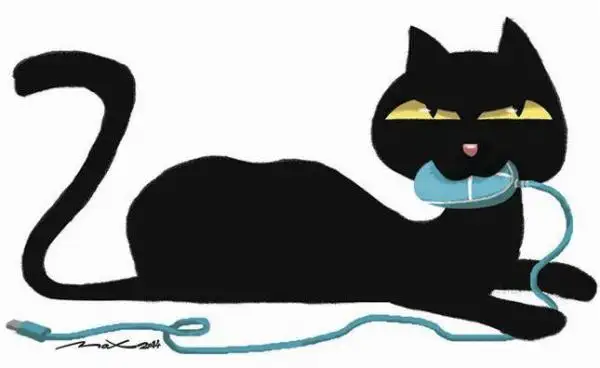 En el mundo tecno también les temen a los gatos negros
