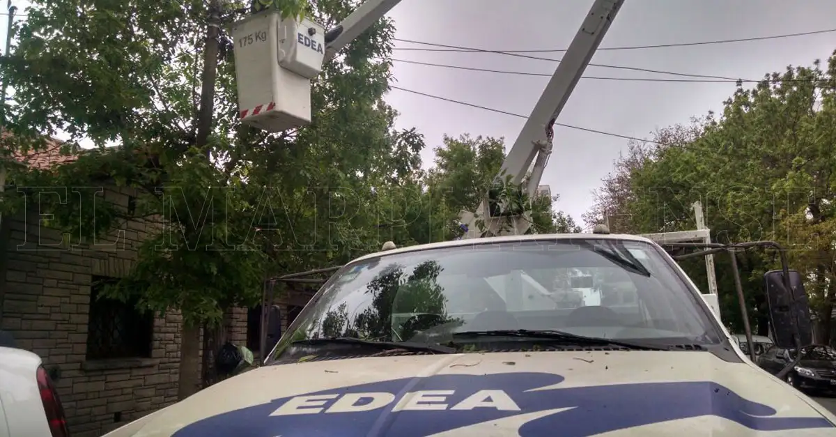EDEA normaliza el servicio de media tensión en la zona sur