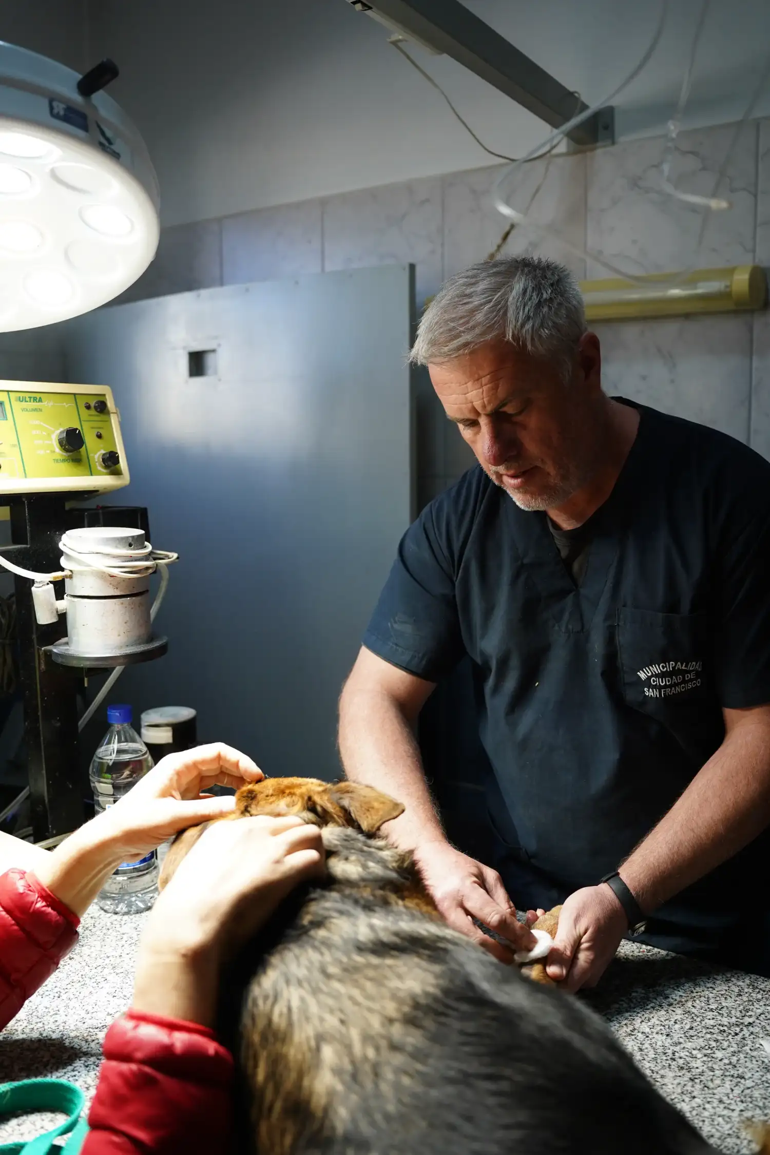 Roberto Ferrero, veterinario - 1