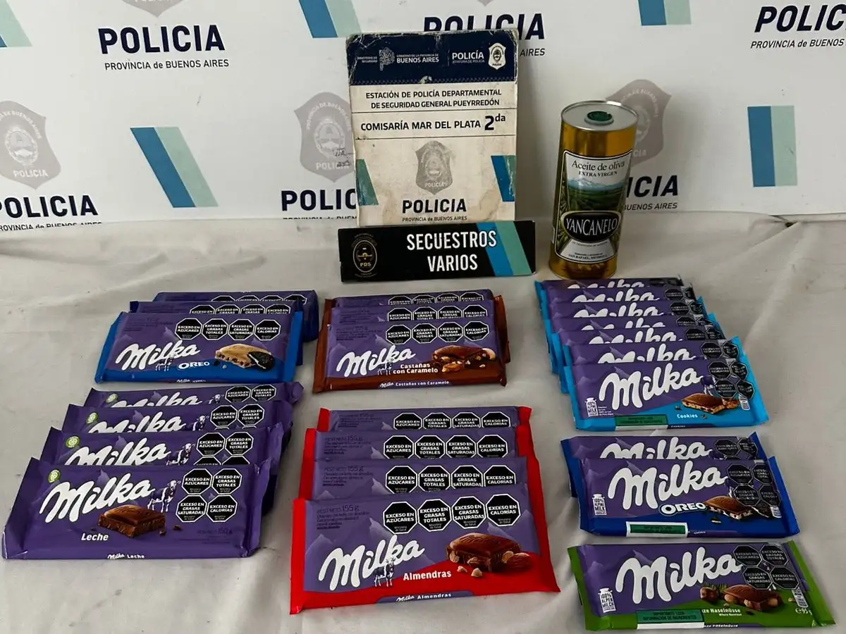 La ladrona fue remitida al Destacamento Femenino.