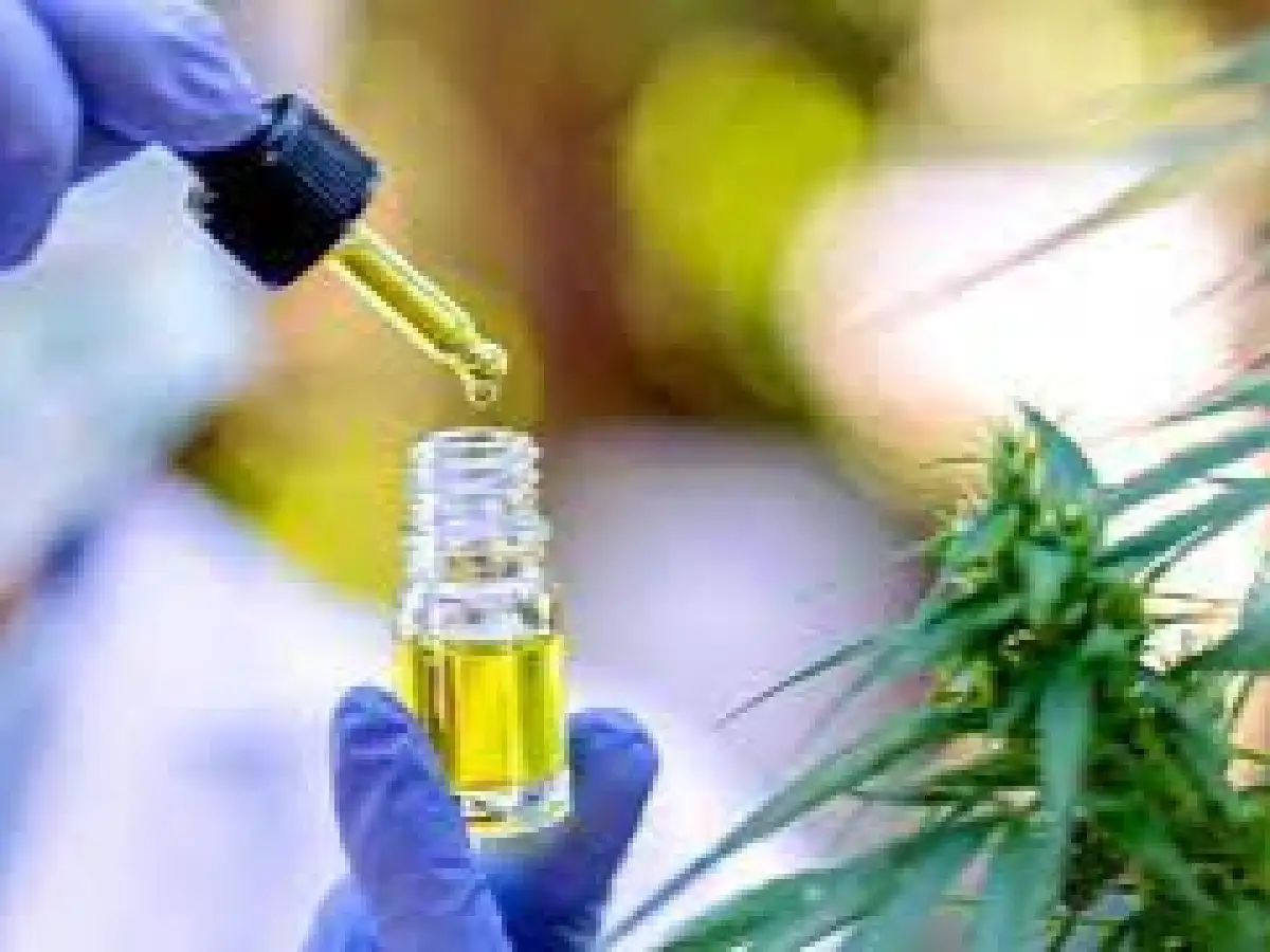 Córdoba: brindarán acceso al cannabis medicinal a personas con epilepsia aguda