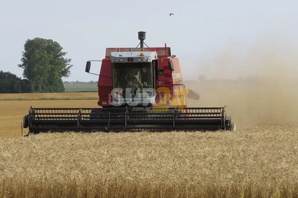 Lluvias generalizadas mejoraron la situación agrícola en once provincias
