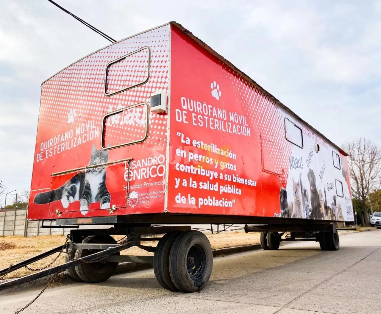 Salud animal: llega el quirófano móvil al barrio San Vicente