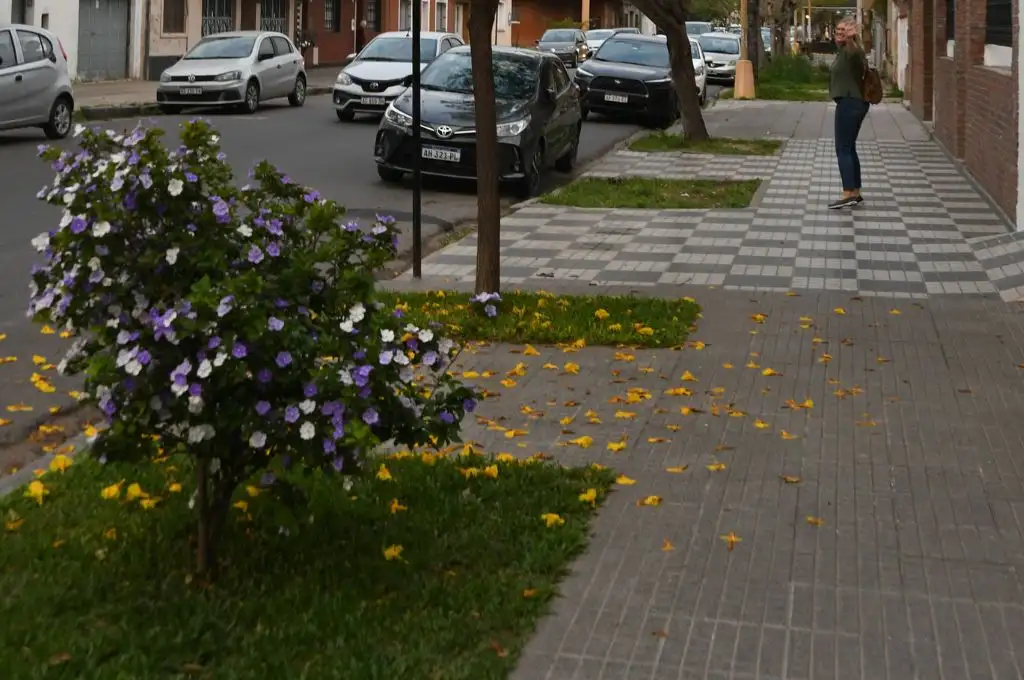 Primavera en Santa Fe