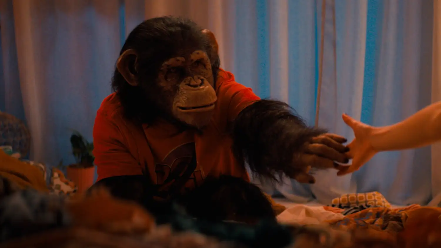 El film de terror "Primate" llegó esta semana a las salas de la ciudad.
