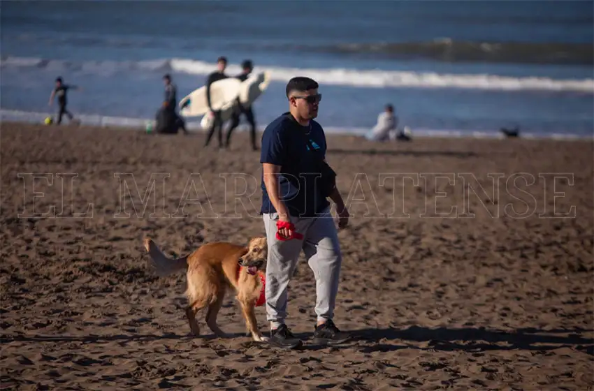 Informan que en Mar del Plata hay 153 nuevos contagios
