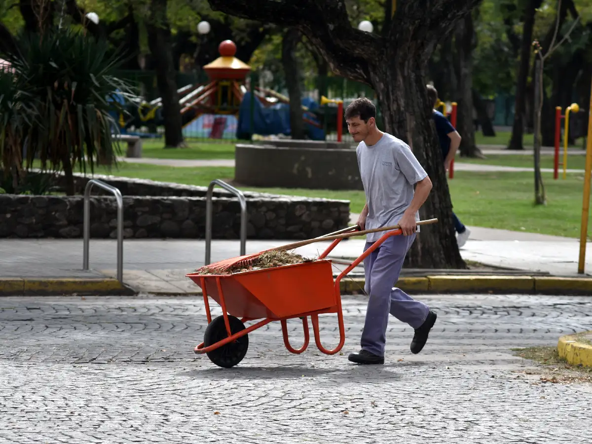 La necesaria recolección de hojas