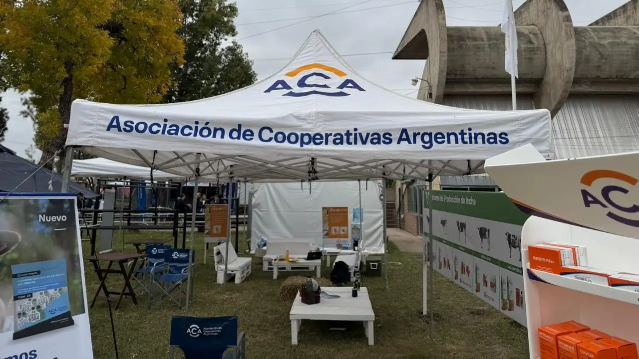 Cooperativa Porteña fortalece servicios con innovación, alianzas y crecimiento productivo regional