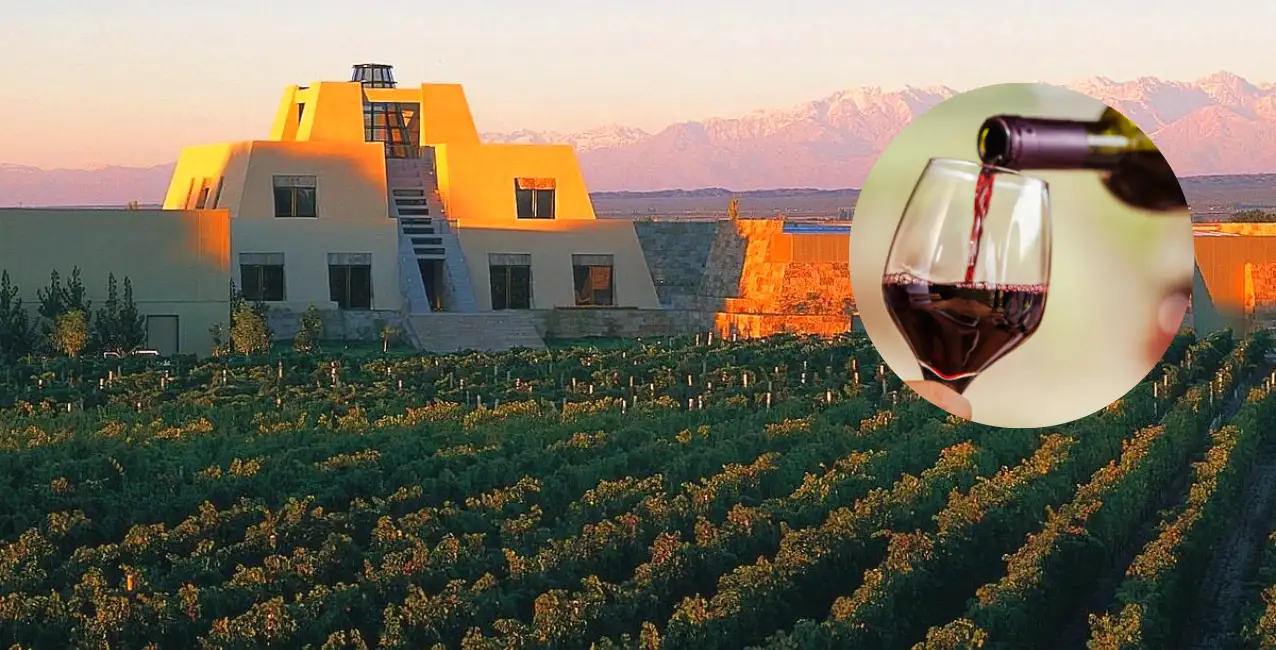 Mendoza es la provincia con mayor producción vitivinícola de Argentina.