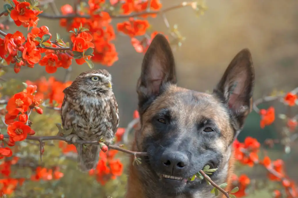 ¡Grandes amigos!