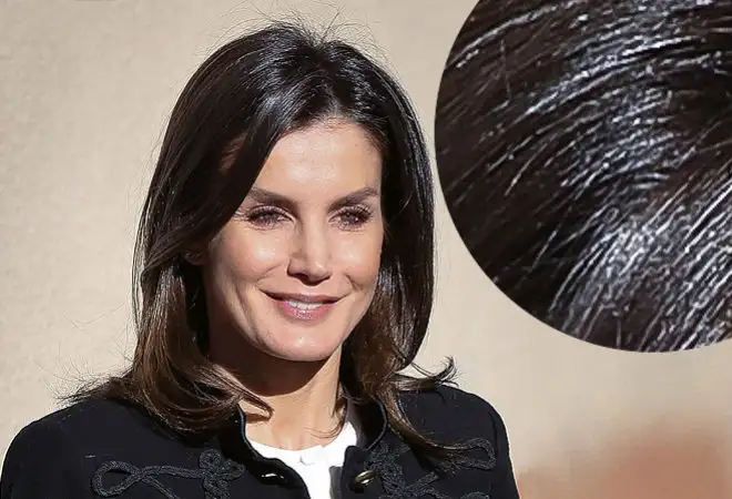 ¿Eso que tiene Doña Letizia en la cabeza son canas?
