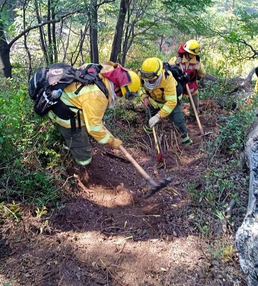 incendios sur