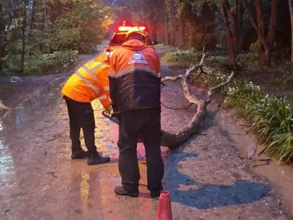 Tormentas: se registraron 35 intervenciones y no hay evacuados