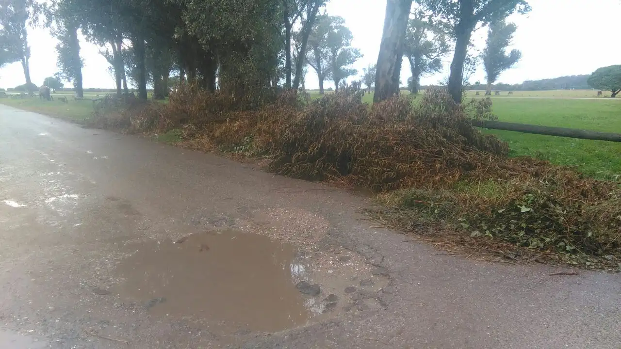 Denuncian falta de limpieza en el Parque Camet
