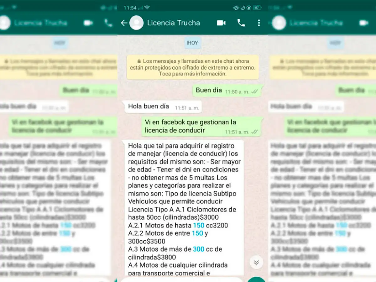 Alertan sobre sitios que ofrecen licencias de conducir falsas