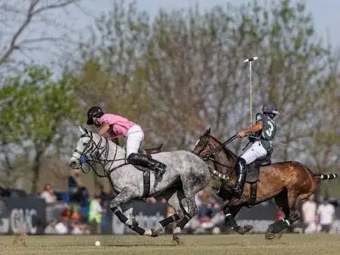 La Natividad La Dolfina y La Hache Polo Team se enfrentarán este domingo por el título del 133° Abierto de Hurlingham, en el inicio de la Triple Corona Argentina.