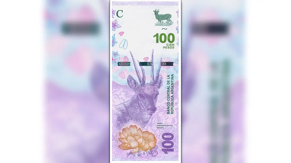 Taruca: el Banco Central presentó el nuevo billete de 100 pesos
