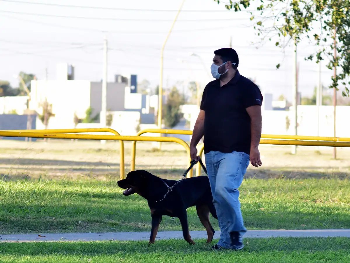 Salud mental en pandemia: lanzaron tercera parte de encuesta local