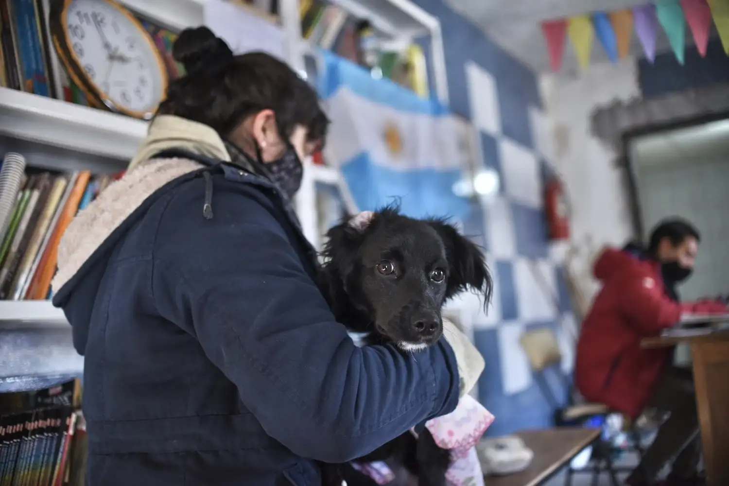 Continúa el cronograma de castración y vacunación para animales de compañía