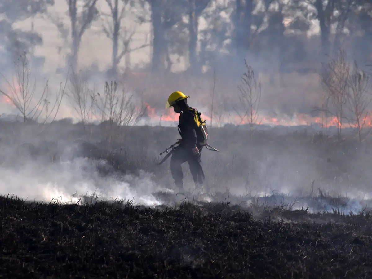 Incendio de pastizales en el norte de la ciudad