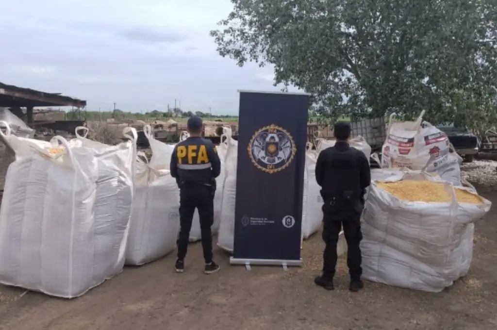 Secuestran 60 toneladas de maíz tras allanamientos por robo a un tren en Villa Gobernador Gálvez