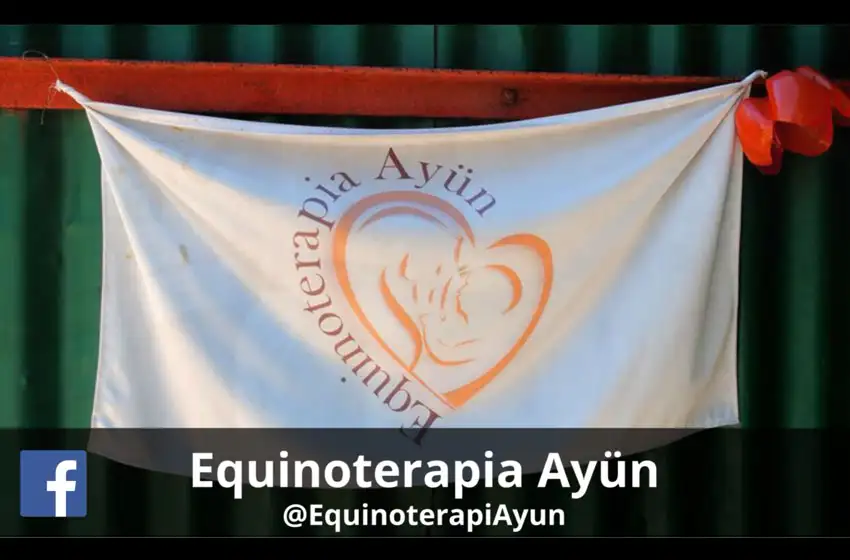 La equinoterapia y el gran avance que ayuda a diferentes patologías