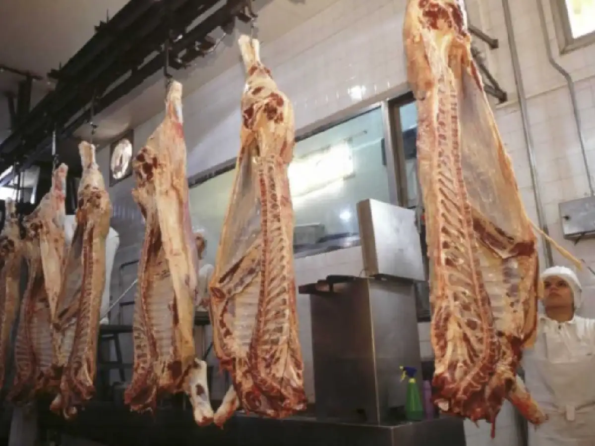 El campo advirtió sobre el desabastecimiento: "Va a faltar carne en todos lados"
