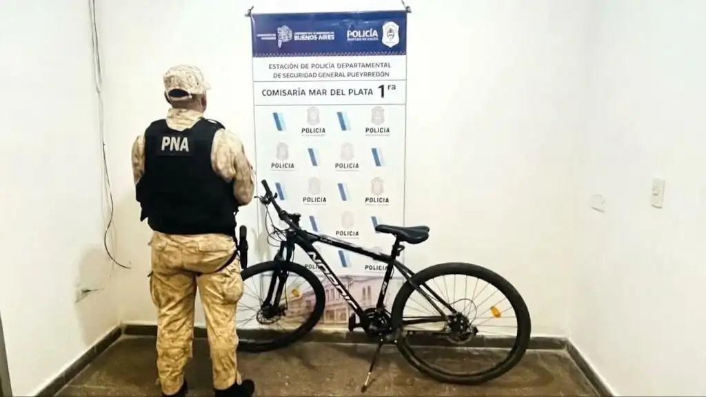 Tras el robo, el adolescente intentó escapar a bordo de una bicicleta rodado 29.