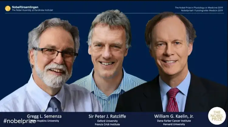 Se entregó el premio Nobel de Medicina 2019
