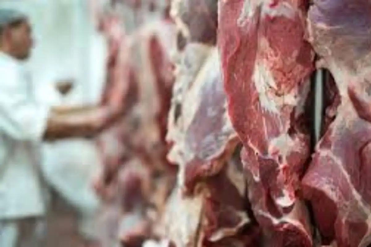 Marzo registró un total de 232,3 millones de dólares en ingresos por exportaciones de carne vacuna
