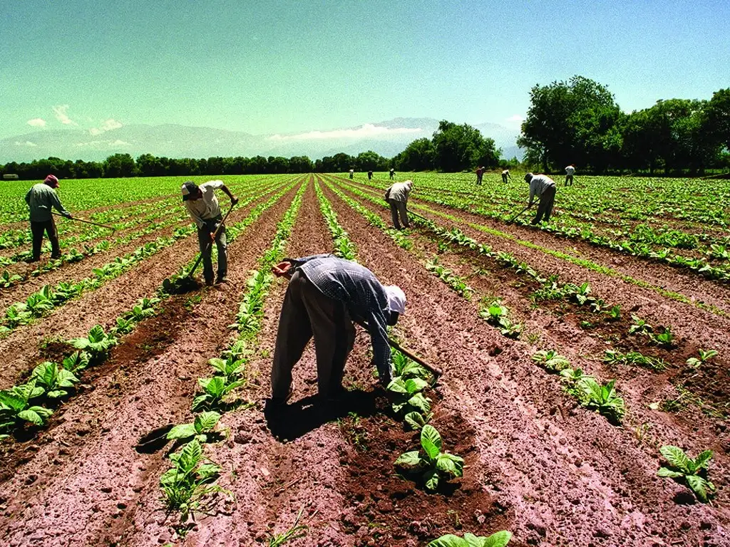 La nueva prórroga fue solicitada por el sector que representa a los trabajadores rurales.