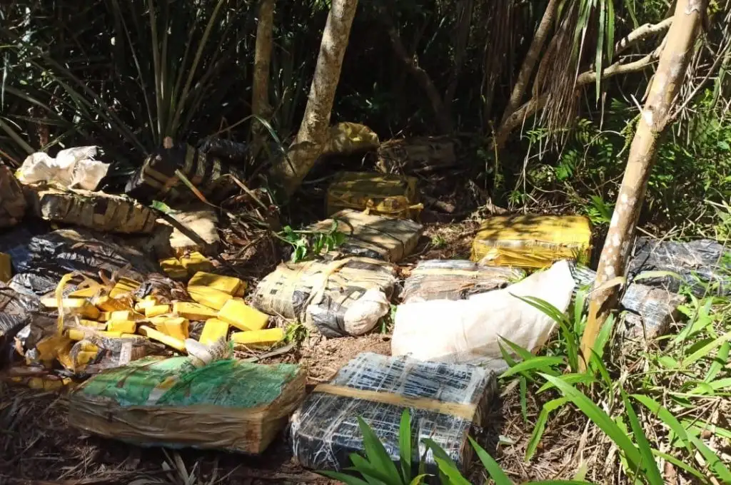 Hallan más de 496 kilos de marihuana ocultos cerca de una plantación