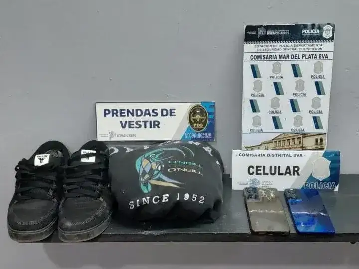 Allanamiento termina con dos delincuentes identificados
