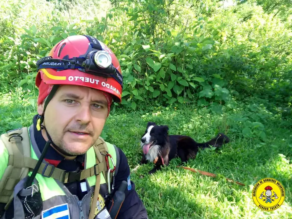 perros bomberos - 2