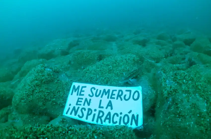 Un mar de cambios, la ciencia y el arte urbano se unen para concientizar sobre los océanos