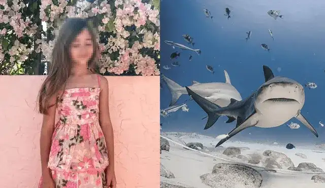 El dramático episodio ocurrió en la playa de Boca Grande.