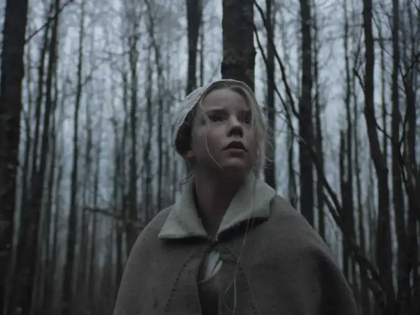 A las 00.30 h. se proyectará el largometraje "The VVitch", de Robert Eggers. Foto: Gentileza.