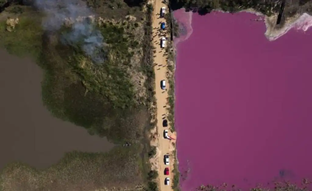 La foto que ayudó a salvar una laguna en Paraguay