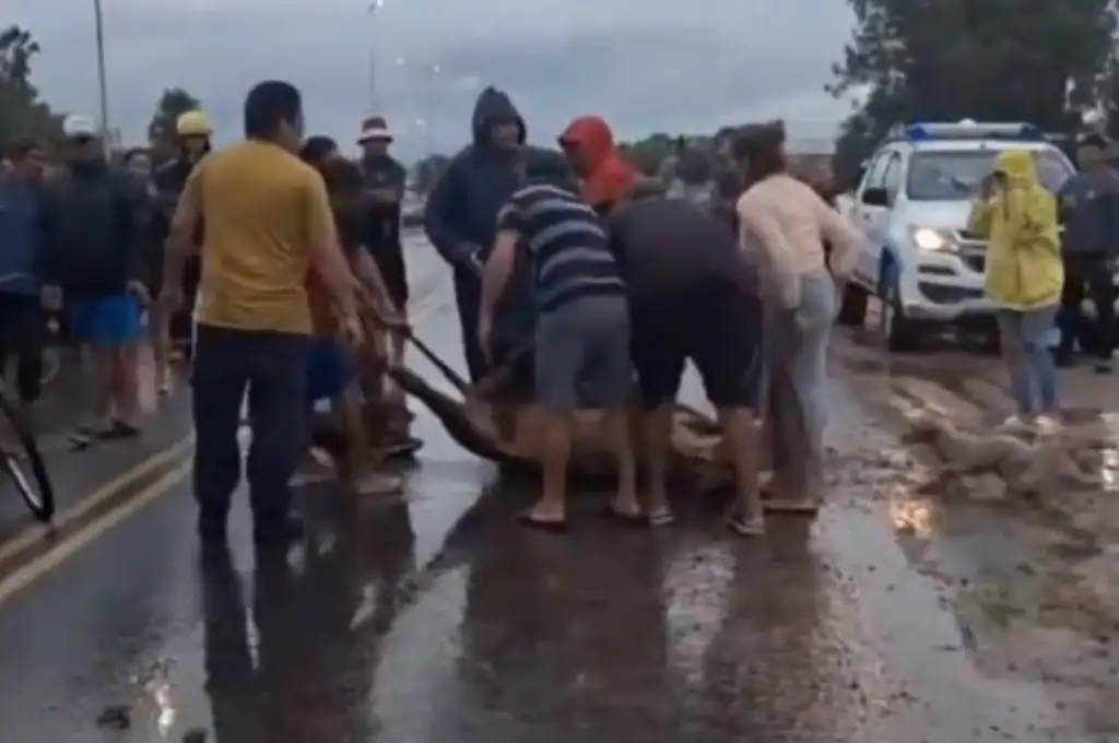 Macabro suceso en Córdoba