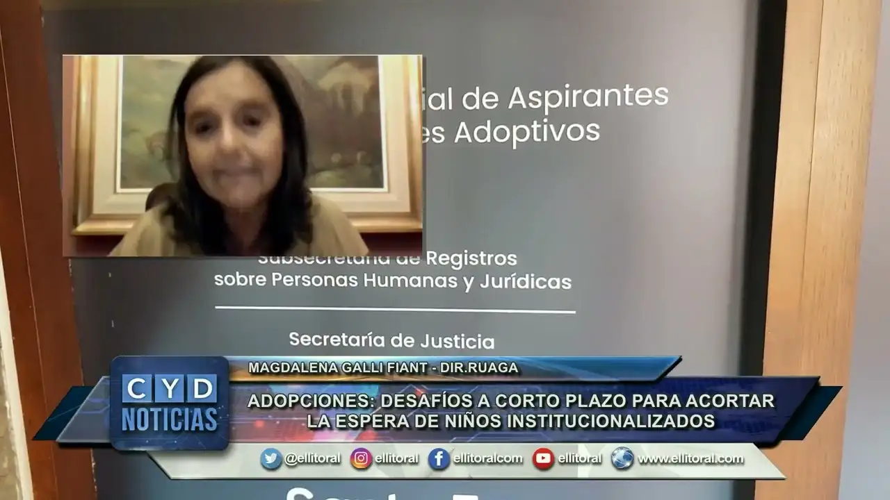 Adopciones: desafíos a corto plazo para acortar la espera de niños institucionalizados