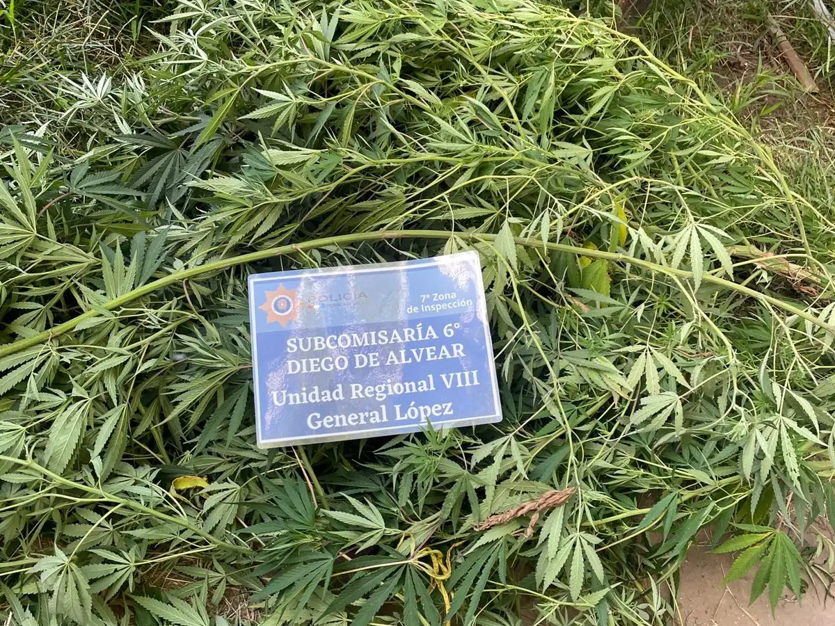 Parte de lo secuestrado por la Policía.