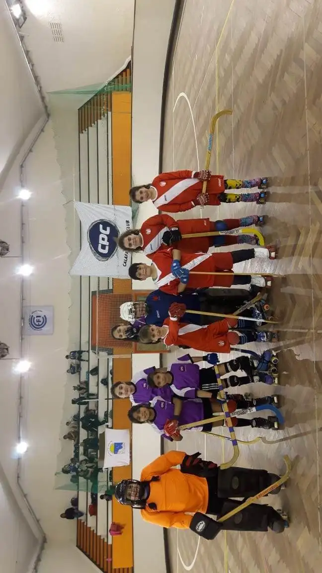 El hockey tradicional se suma a la AMP