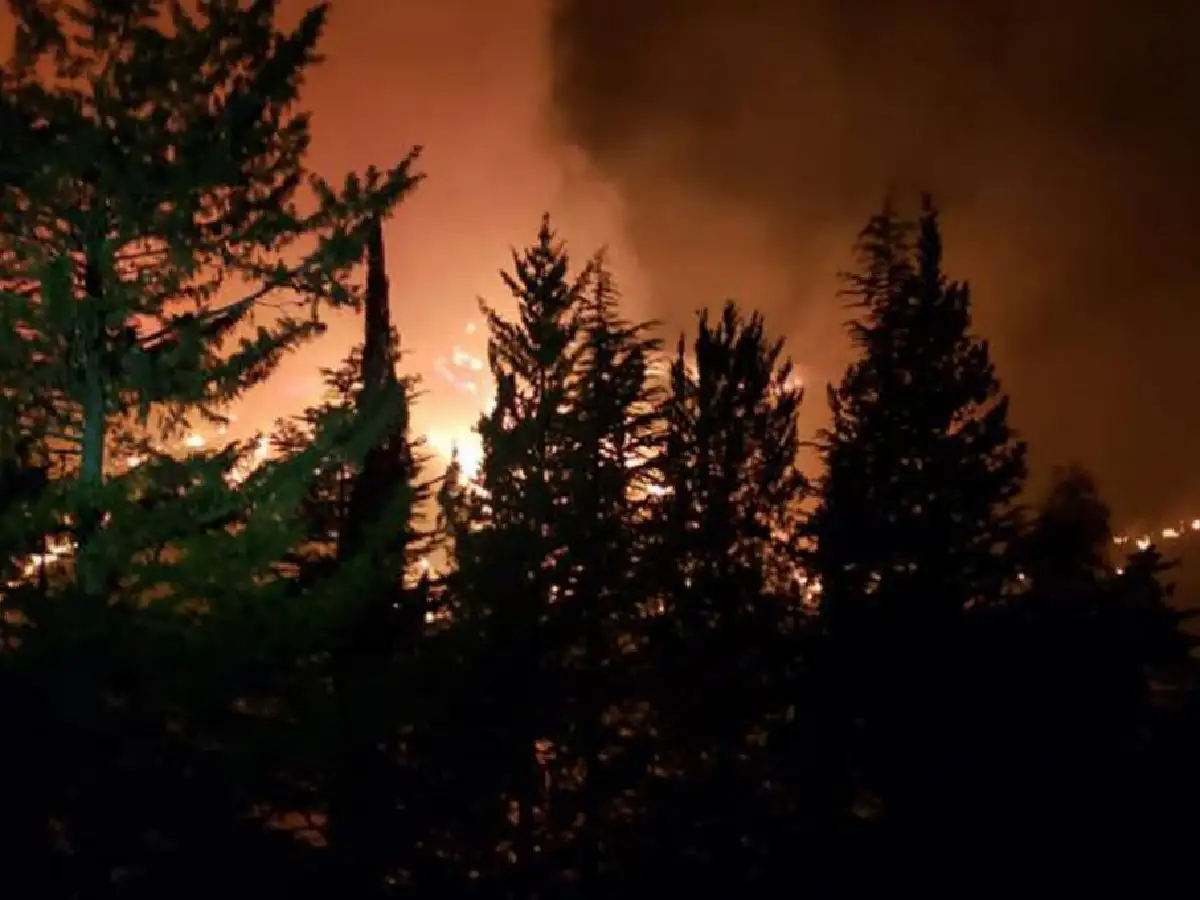 Bomberos combaten el incendio forestal cercano al Dique Los Molinos