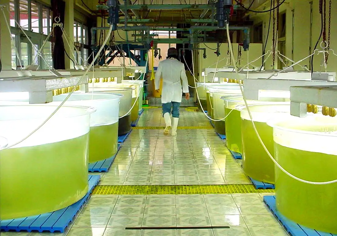 Biodiésel: Crecieron las exportaciones en Santa Fe